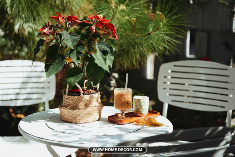 19 Patio Garden Ideas: Tips and Inspiration for Your Outdoor Space