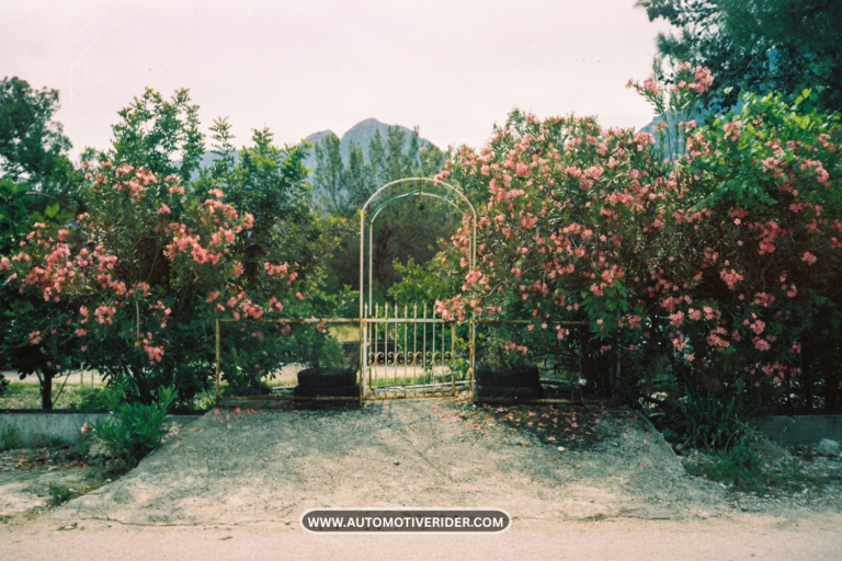 19 Raised Garden Bed Along Fence Ideas